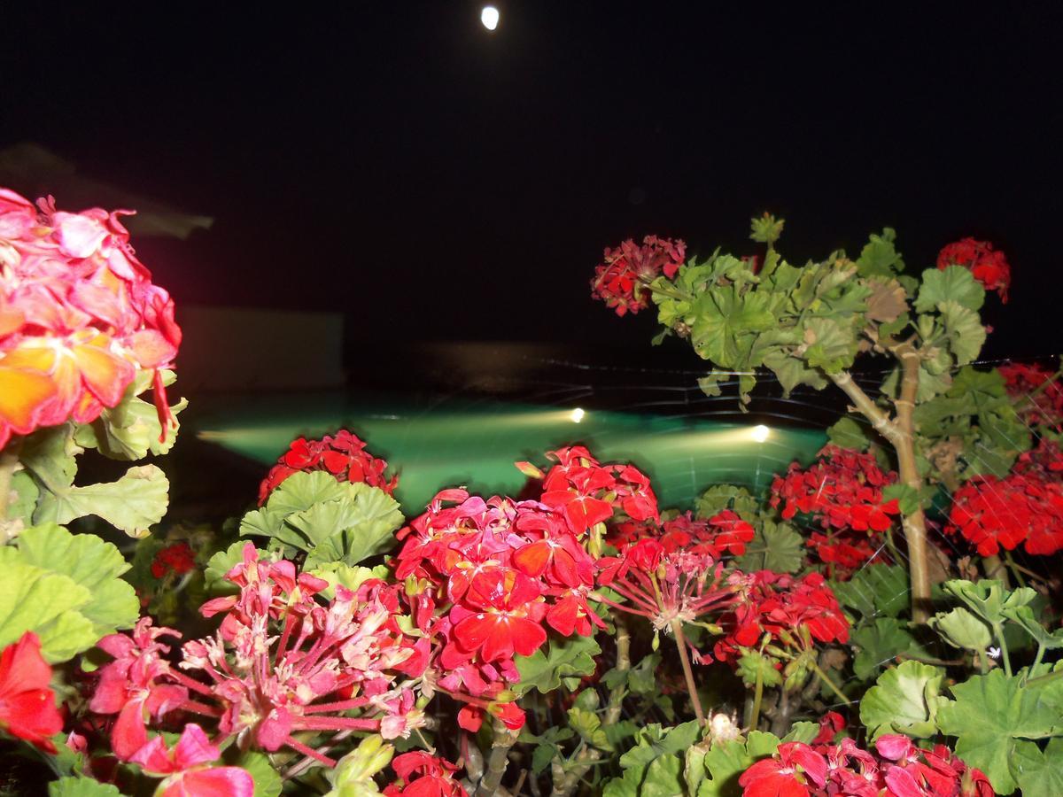 Ionio Star Hotel Κουτσουράς Εξωτερικό φωτογραφία